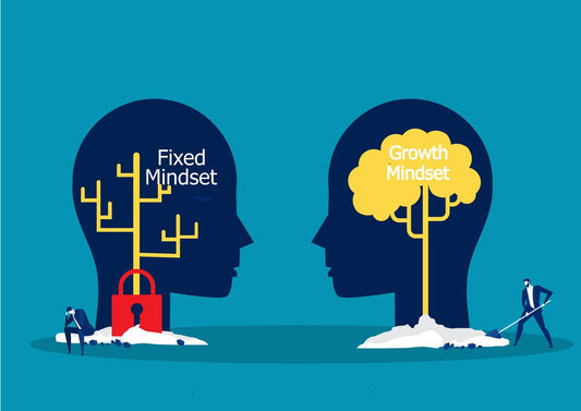 Your Mindset Matters: The Difference Between a Growth and Fixed Mindset